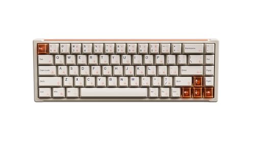 316FS-+dBGL.jpg